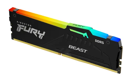 Kingston Technology FURY Beast RGB Ram DDR5 32GB 1X32GB 5600MHz CL40