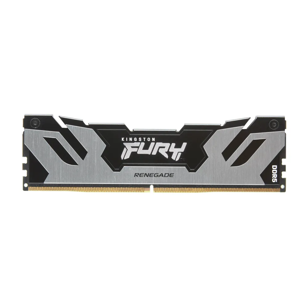 Kingston Technology FURY 32GB 7200MT/s DDR5 CL38 DIMM (Kit da 2) Renegade Silver XMP