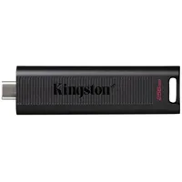 Kingston Technology DataTraveler 256GB Max 1000R/900W USB 3.2 Gen 2
